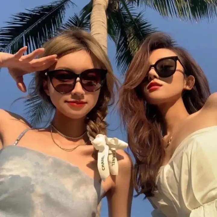 巅峰拍档第二十三季