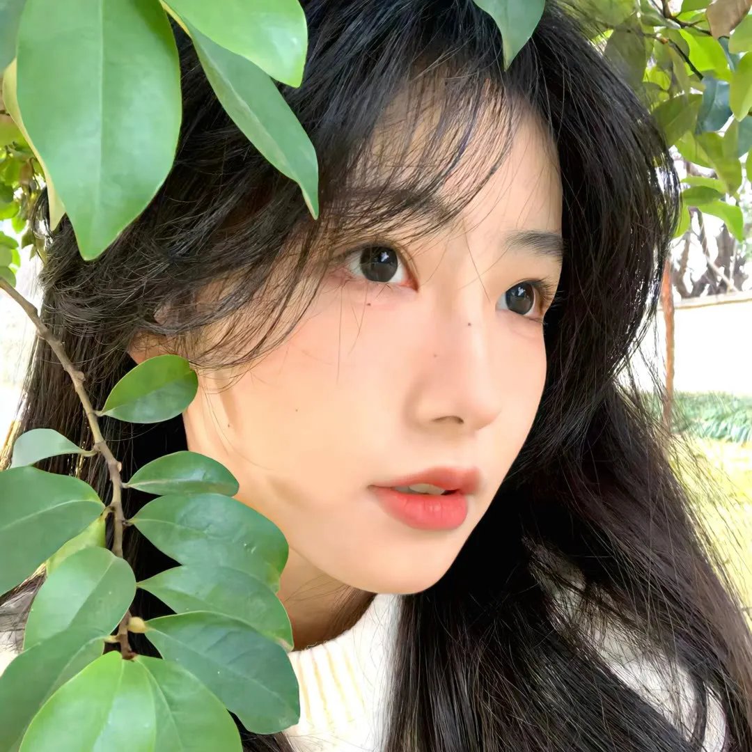 无口的森田小姐第二季