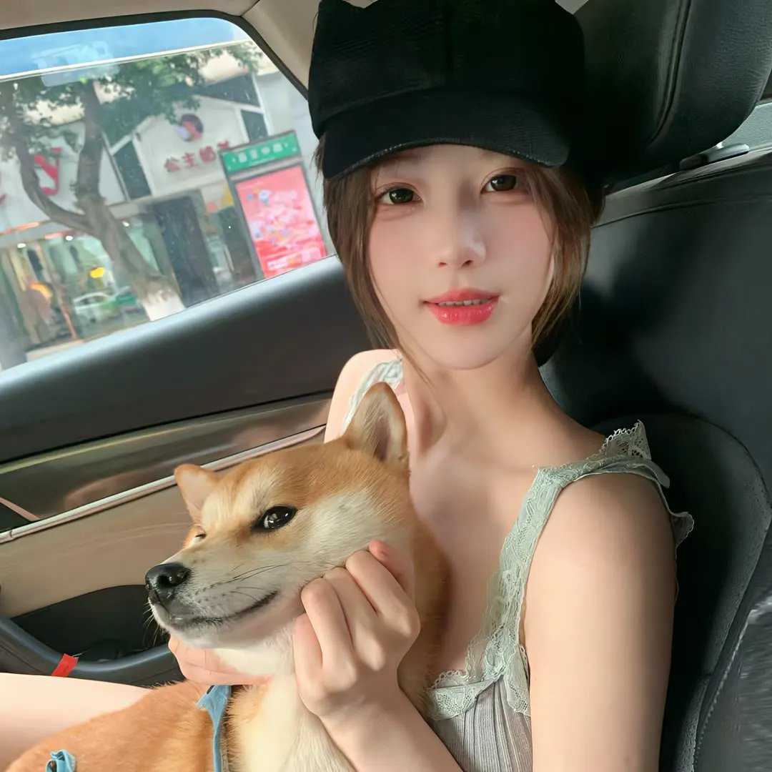 龙公主的冒险