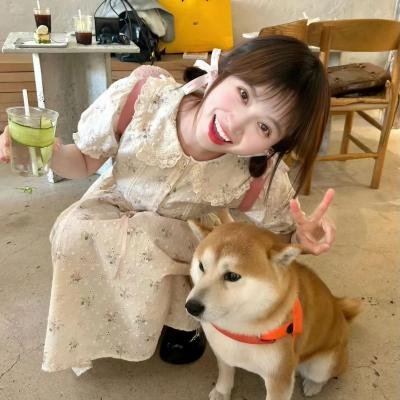 金屋藏娇